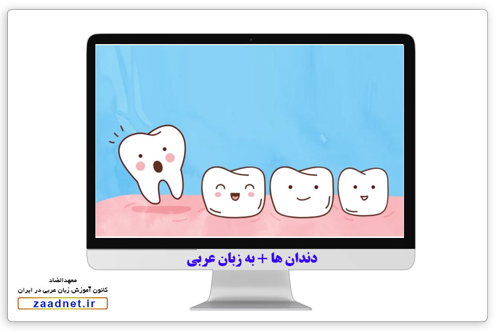 دندان ها + به زبان عربی